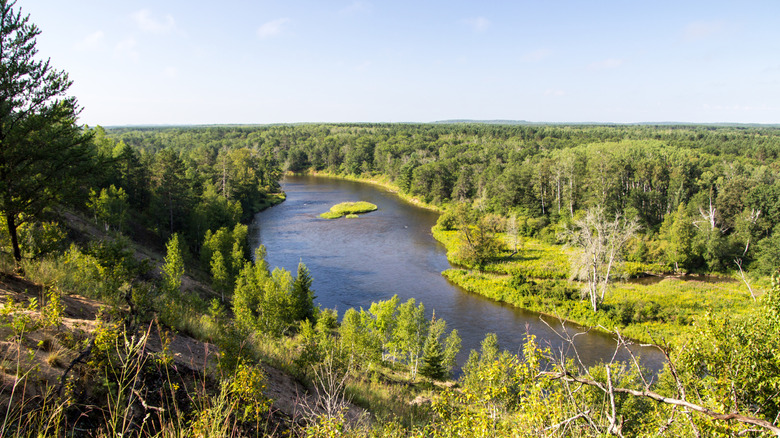 A view of the Au Sable River surrounded by forests from an overlook