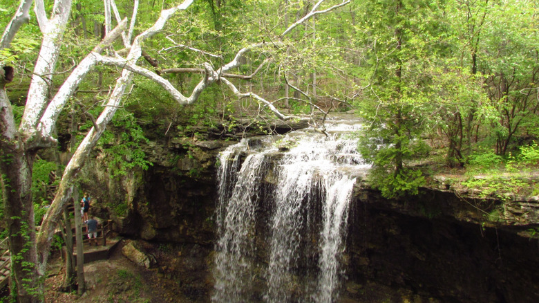 Charleston Falls Preserve during spring, Tipp City, Ohio