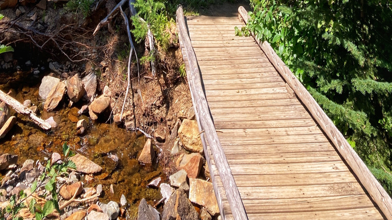 Walking path at Olive Lake in Oregon