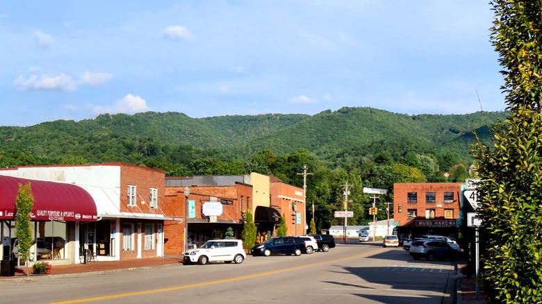Main Street in Mountain City with forest-covered mountains in background