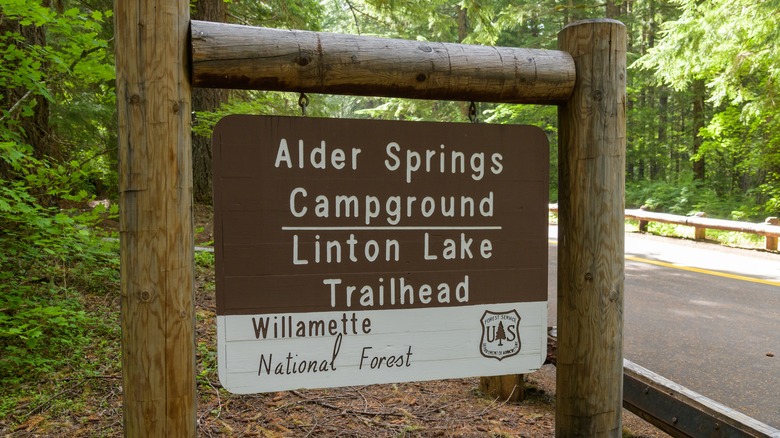 Alder Springs Campground and Linton Lake Trailhead in Willamette National Forest
