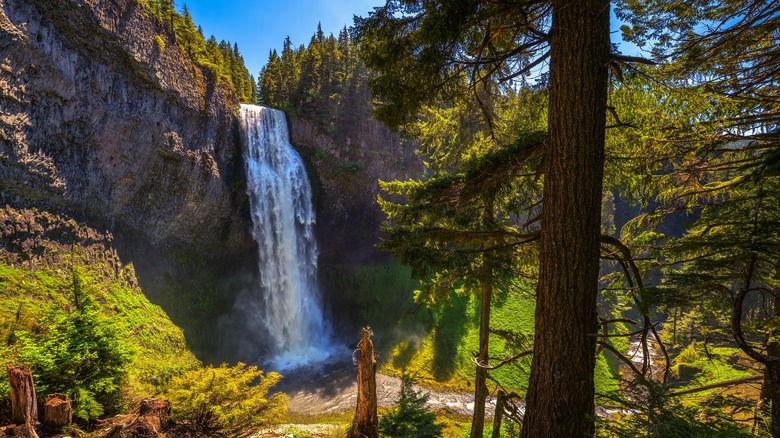 Salt Creek Falls in Willamette National Forest
