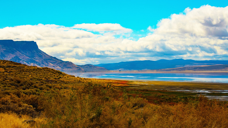 A view of Lake Abert and Abert Rim Mountain in Paisley, Oregon on a sunny day