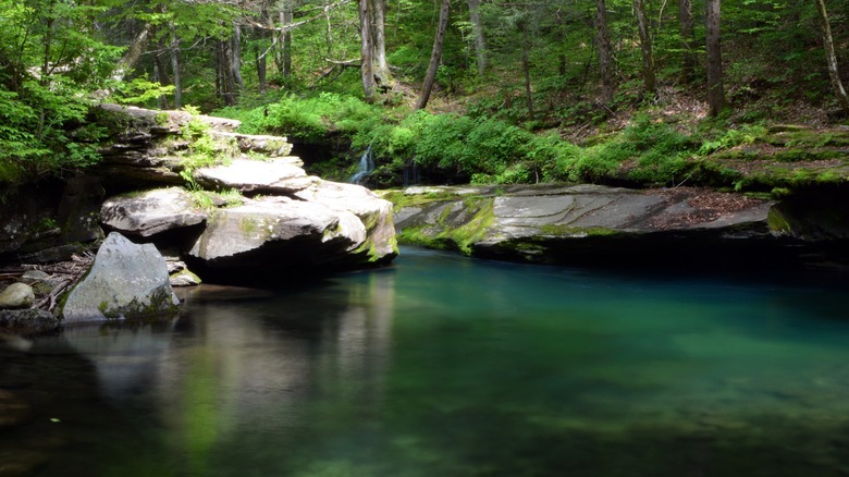 Peekamoose Blue Hole in the Catskills