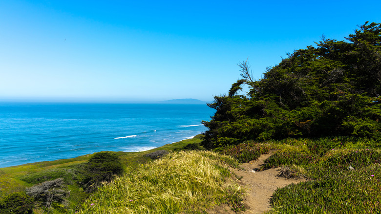 Overlooking the ocean at Thornton State Beach