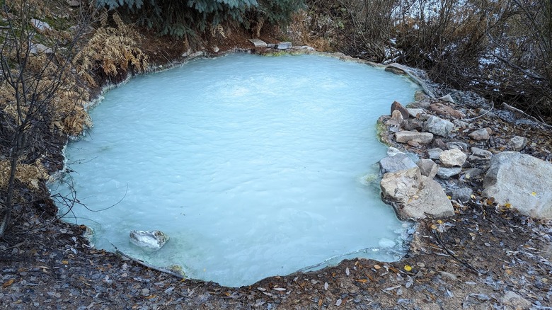 Geyser found along the Geyser Spring Trail in Colorado