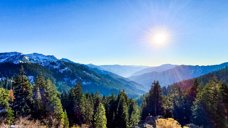 A summit view of forested mountains with snow capped peaks