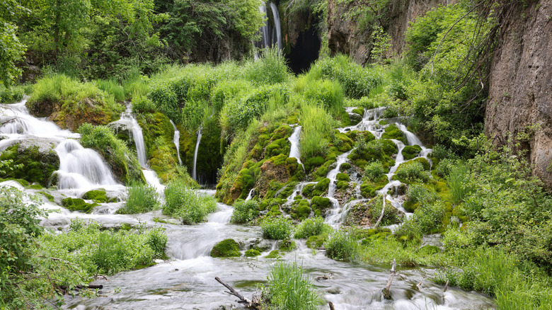 The Spearfish Canyon Nature Area in Lead, SD