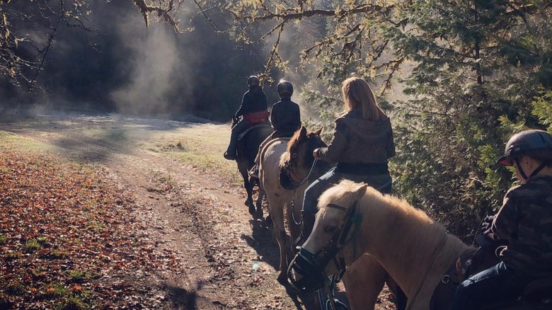 horseback riding offered at Out'N'About Treesort near Cave Junction, Oregon.