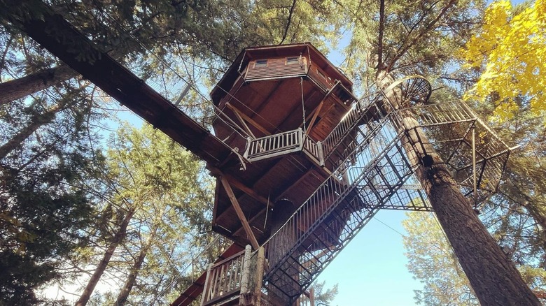 Ground view of a treehouse at Out'N'About Treesort near Cave Junction, Oregon.