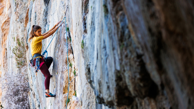 A rock climber scaling a wall