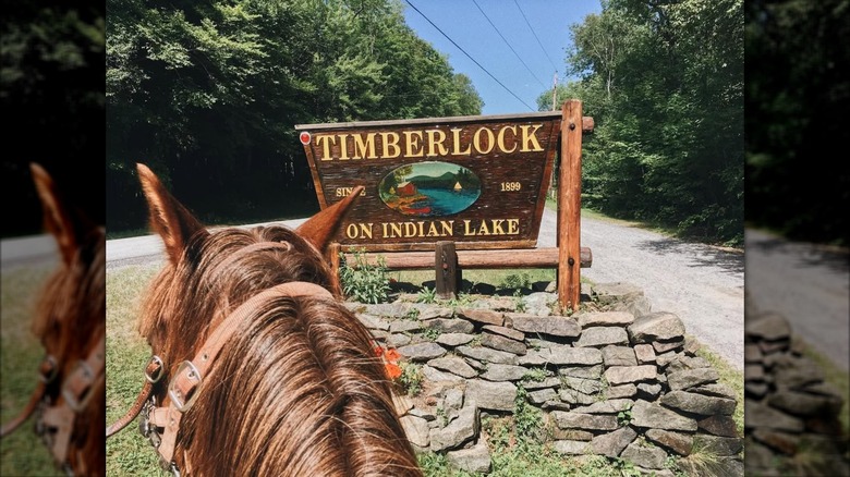 Horse in front of the Timberlock sign