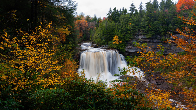 fall foliage waterfall view in Blackwater Falls State Park, Canaan Valley WV