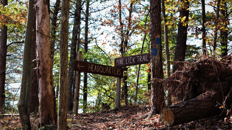 Signage of the Pine Lick Trail at Green Ridge State Forest, Maryland