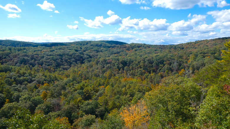 Mountain and valley landscape at Green Ridge State Forest, Maryland