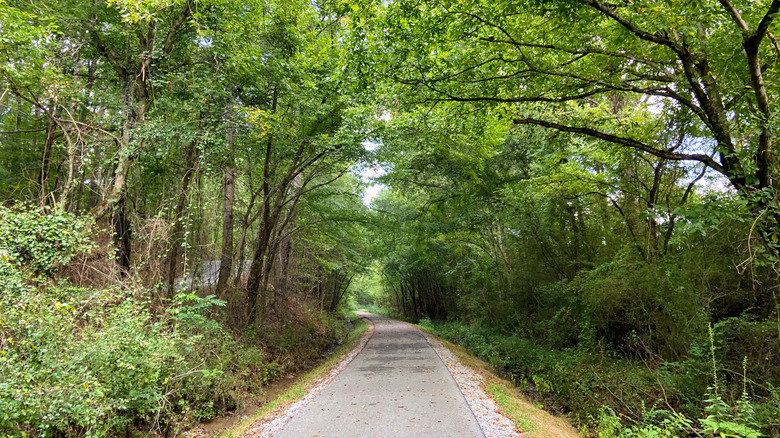 The wooded Chief Ladiga Trail in Jacksonville, Alabama.