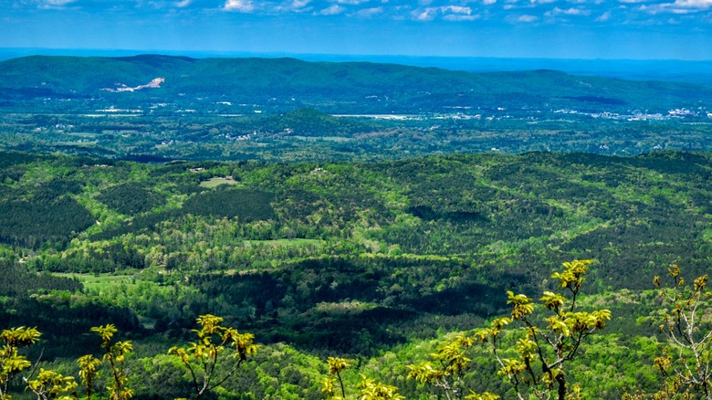 A town like Jacksonville nestled in the rolling hills of Alabama.