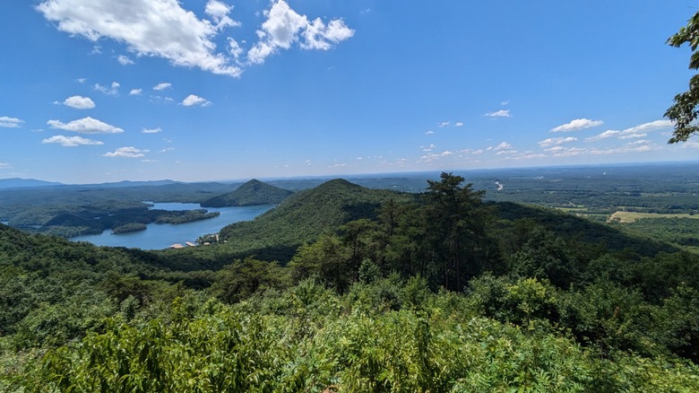 An elevated view of Cherokee National Forest