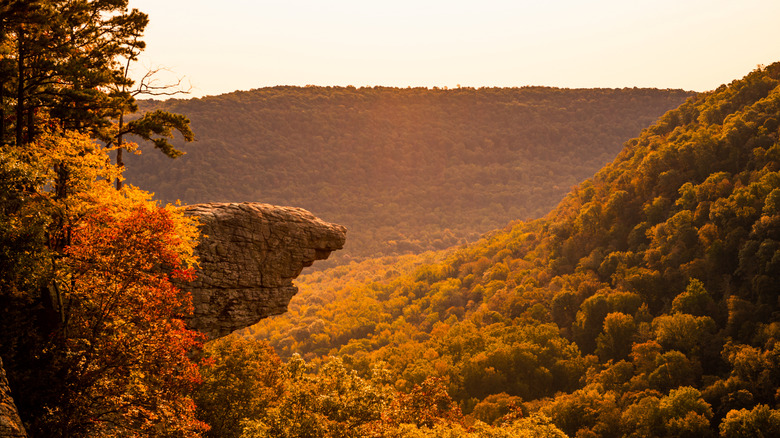 Hawksbill Crag rock formation bathed in orange and golden light fall foliage Ponca Arkansas