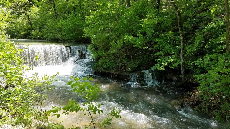 Rushing waters flowing through forests areas at Withrow Springs State Park, Arkansas
