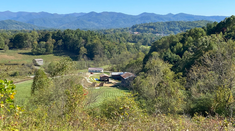 The Richard L Hoffman Trail in the Bailey Mountain Preserve
