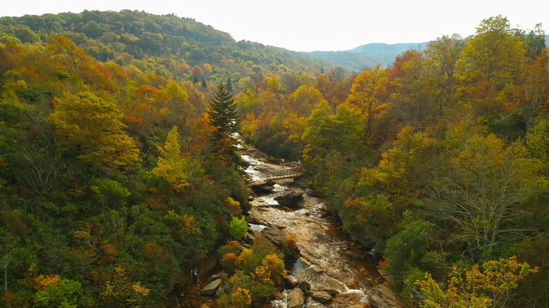 Graveyard Fields in Pisgah National Forest