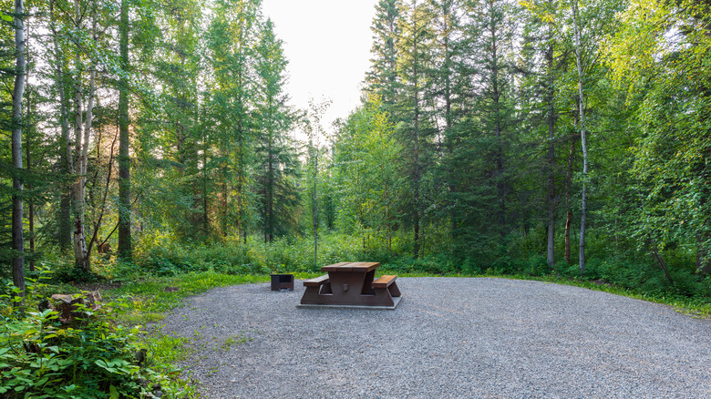 Campsite with picnic table at Liard River Provincial Park
