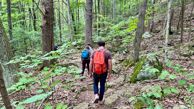 A group of hikers walks on a rocky train in New York State