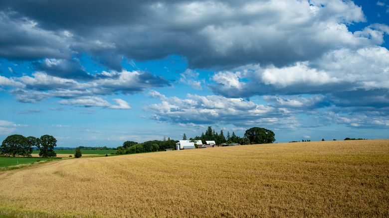 View of the Oregon countryside