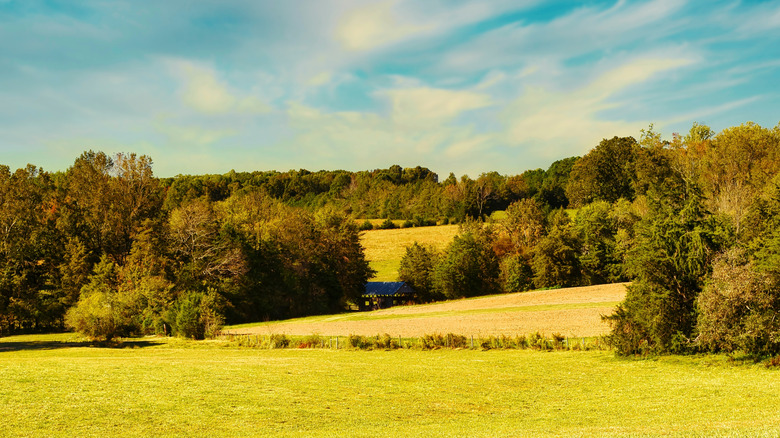 Rolling hills in upstate South Carolina