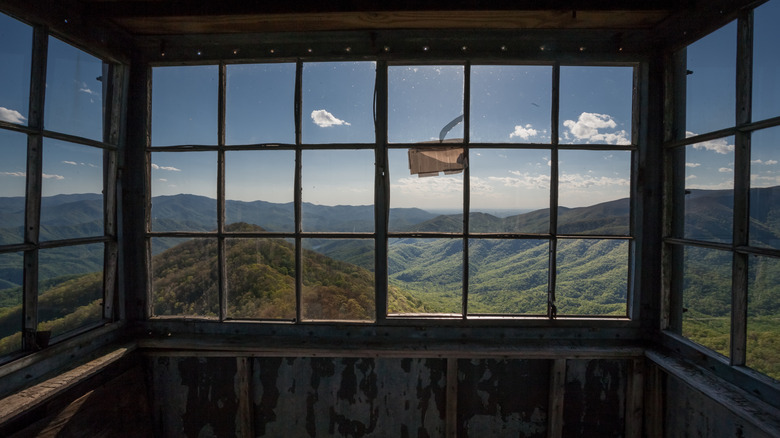 View outside the Shuckstack Fire Tower