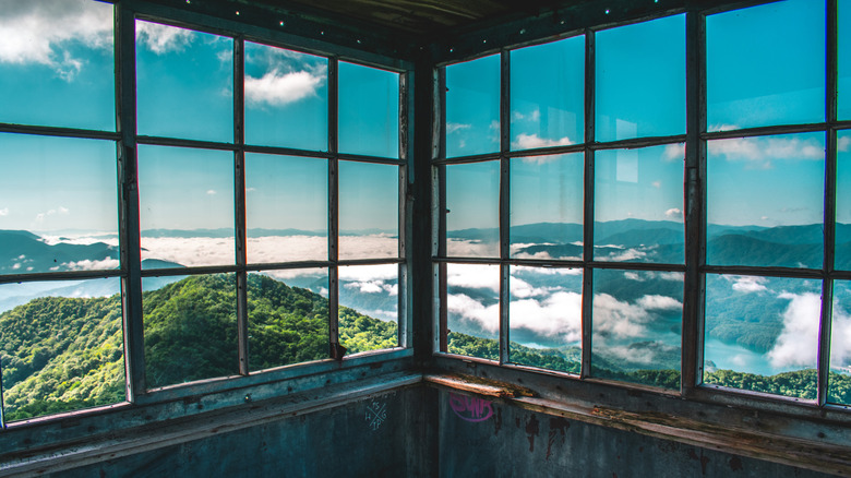 View from the Shuckstack Fire Tower