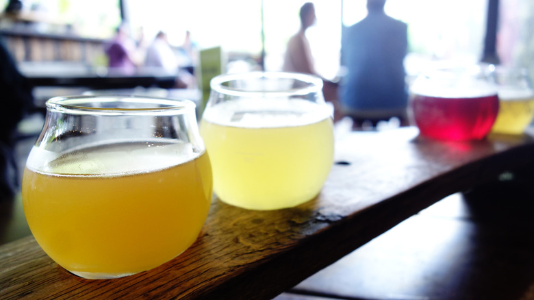 Flight of craft beer at Wicked Weed Funktorium in Asheville, North Carolina