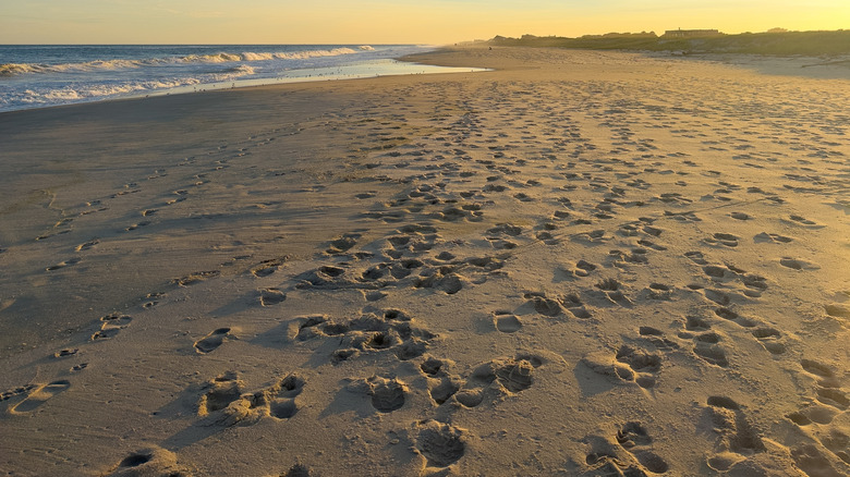 View of the beach at Wainscott at sunset