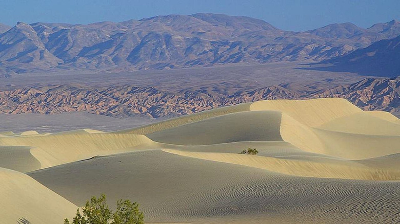 The Mesquite Flat Sand Dunes with high mountains behind