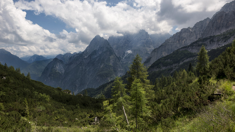 The peaks of the Julian Alps near Malborghetto