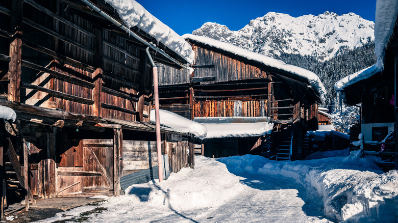 Wooden buildings on an icy morning in Sappada, Italy