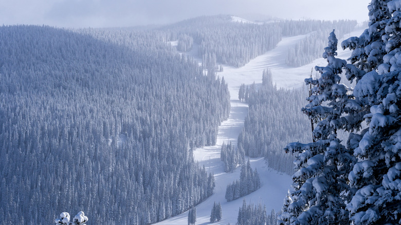 Vail Ski Resort's mountain slopes in winter