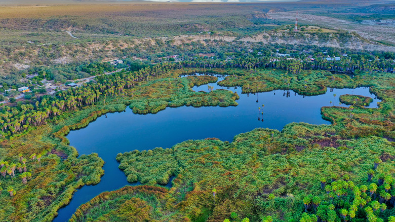 Santiago natural oasis in the Sierra de La Laguna Biosphere