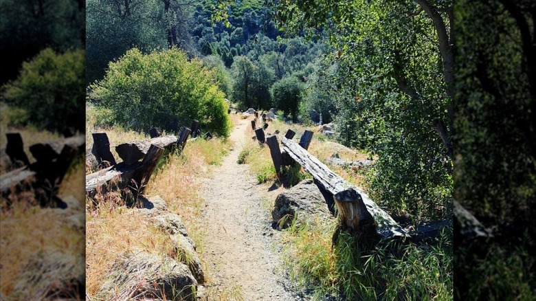 The Green Valley Falls trail going down hill
