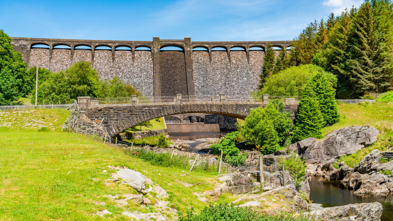 Stone dam walls surrounded by trees
