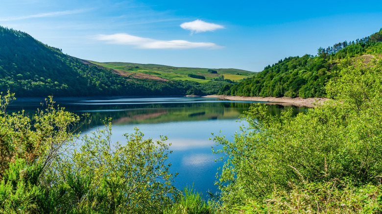 Green plants and trees surrounding blue lake