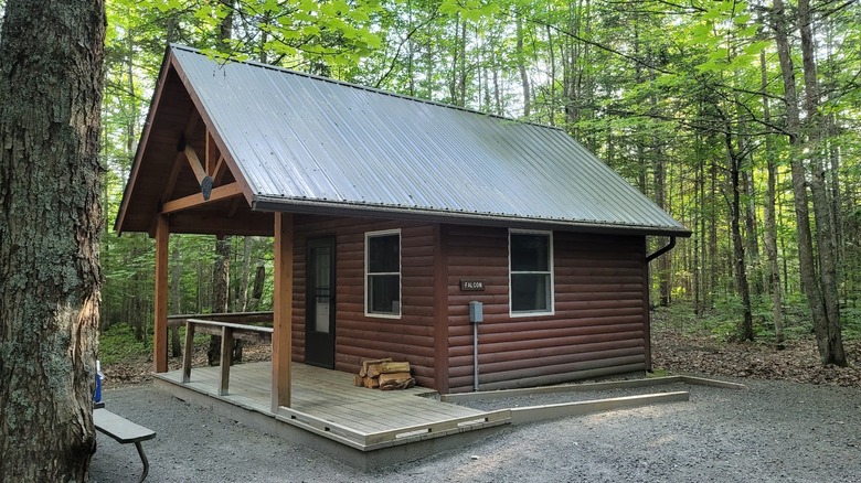 The Falcon cabin at Brighton State Park, Vermont, nestled in the woods with a picnic table outside and firewood under the window