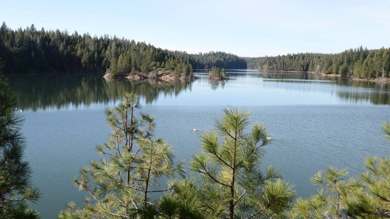 View of Paradise Lake outside of Paradise, Calif. from slightly higher elevation, pine trees and calm waters
