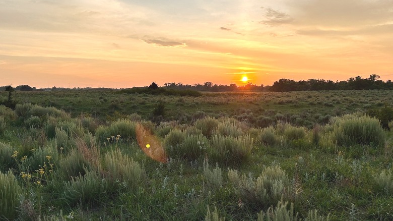 Sunset over prairie in Woodward, Oklahoma