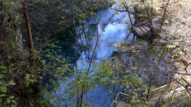 Aerial view of Blue Spring with water, trees, and a dock in the foreground during the day