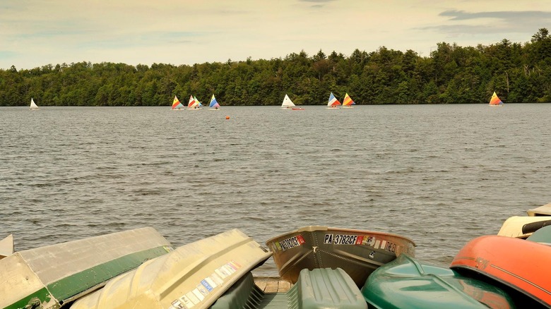 Canoes in a row on the shore of Eagles Mere Lake with small sailboats in the background