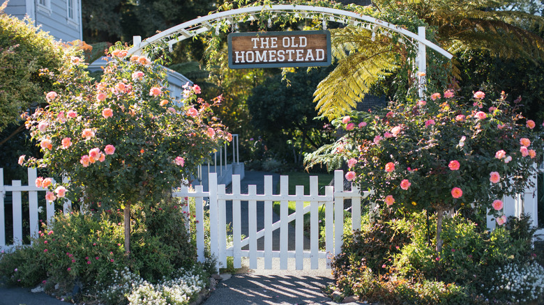 Old Homestead in historic Crockett, CA