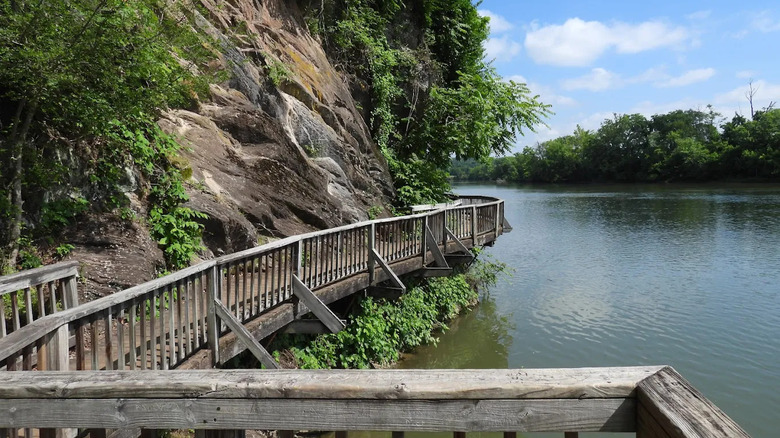 A boardwalk trail winds around a bluff overlooking the Tennessee River, at a local park near Seymour, Tennessee.