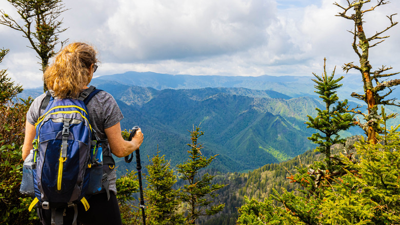 A hiker standing at a lookout spot inside the Great Smoky Mountain National Park near Seymour, Tennessee.